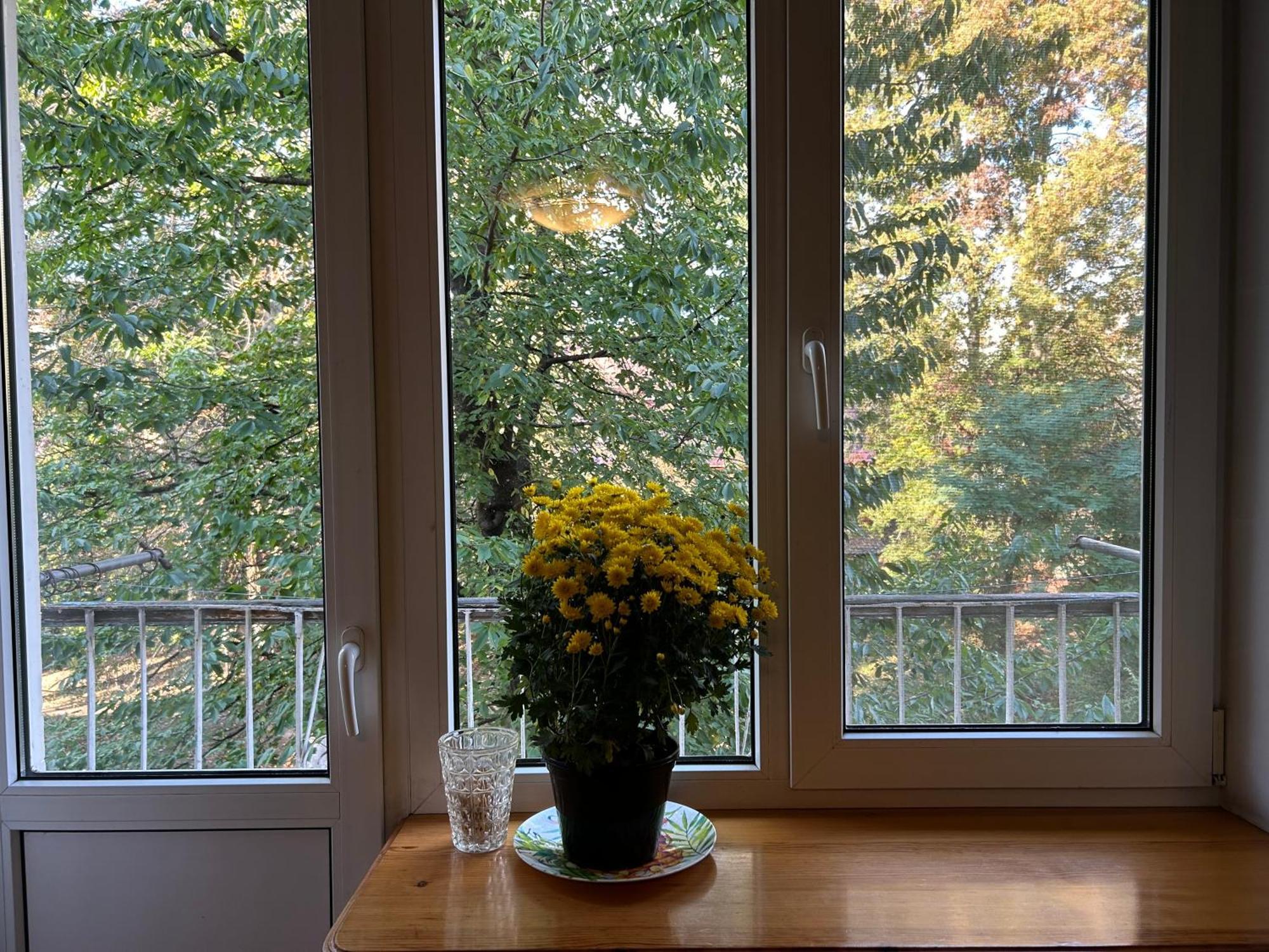 Three Bedroom Stepana Bandery Street Rivne Luaran gambar
